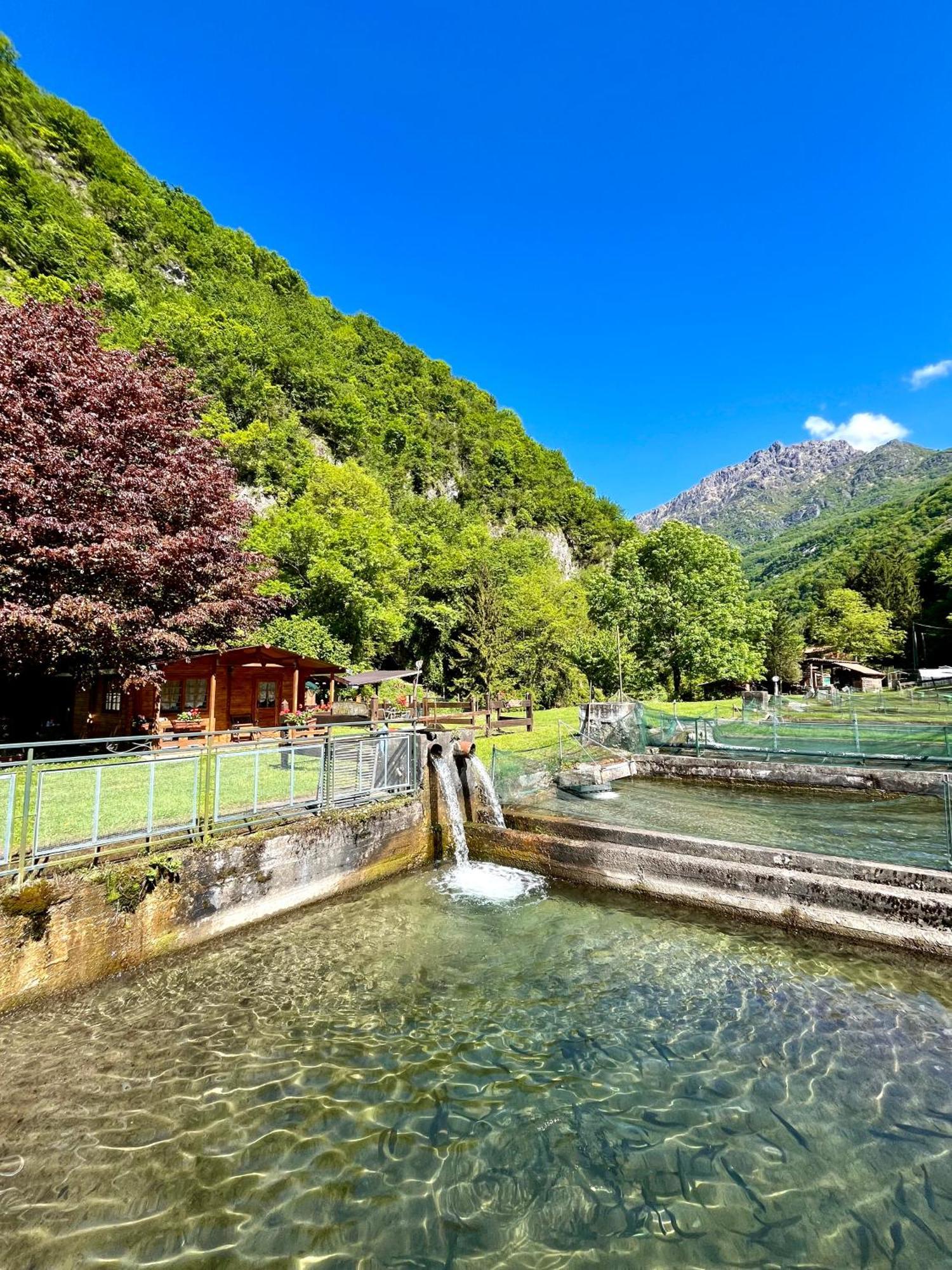 Agriturismo La Vecchia Chioderia Grandola ed Uniti Exteriör bild
