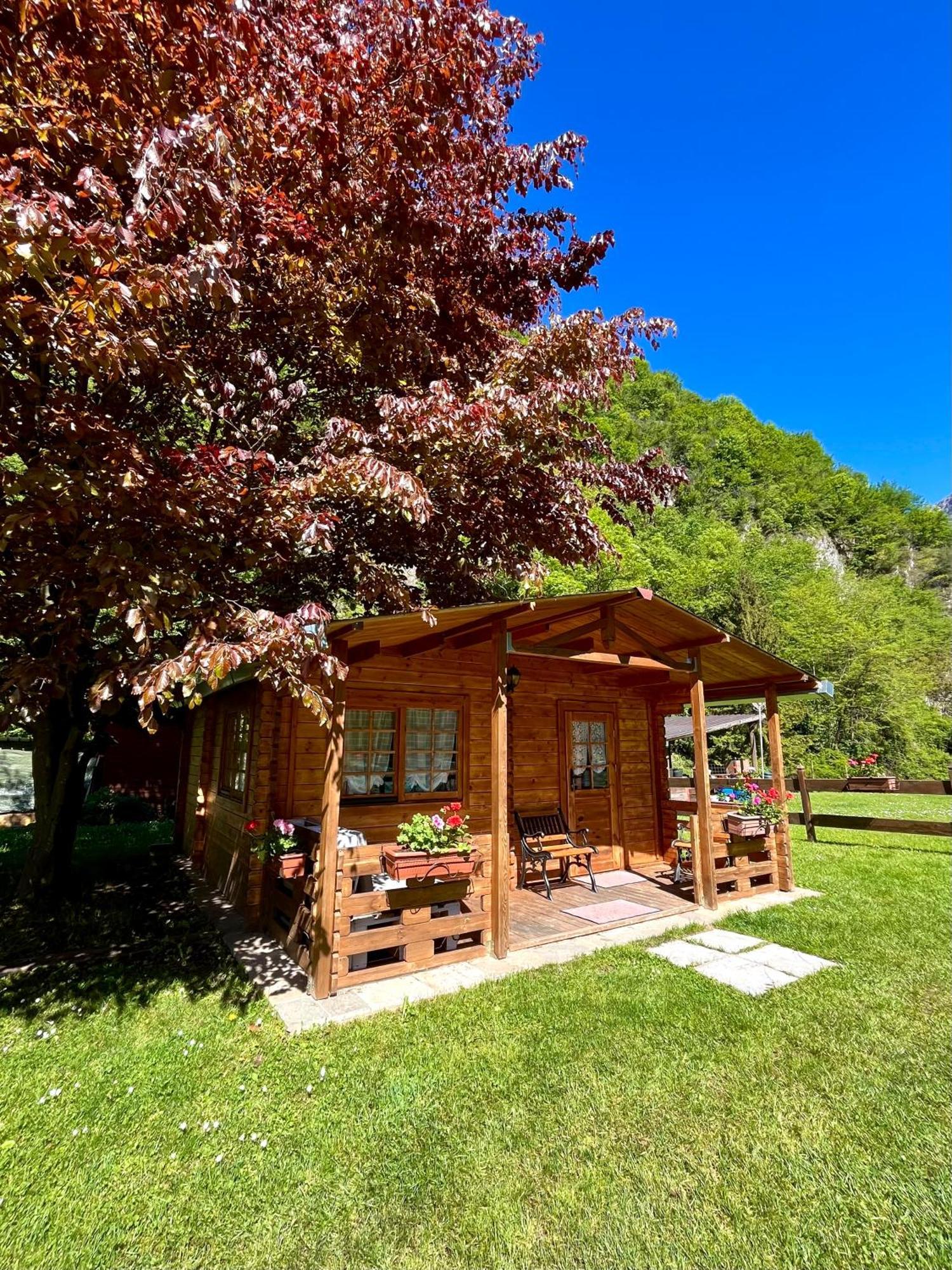 Agriturismo La Vecchia Chioderia Grandola ed Uniti Exteriör bild