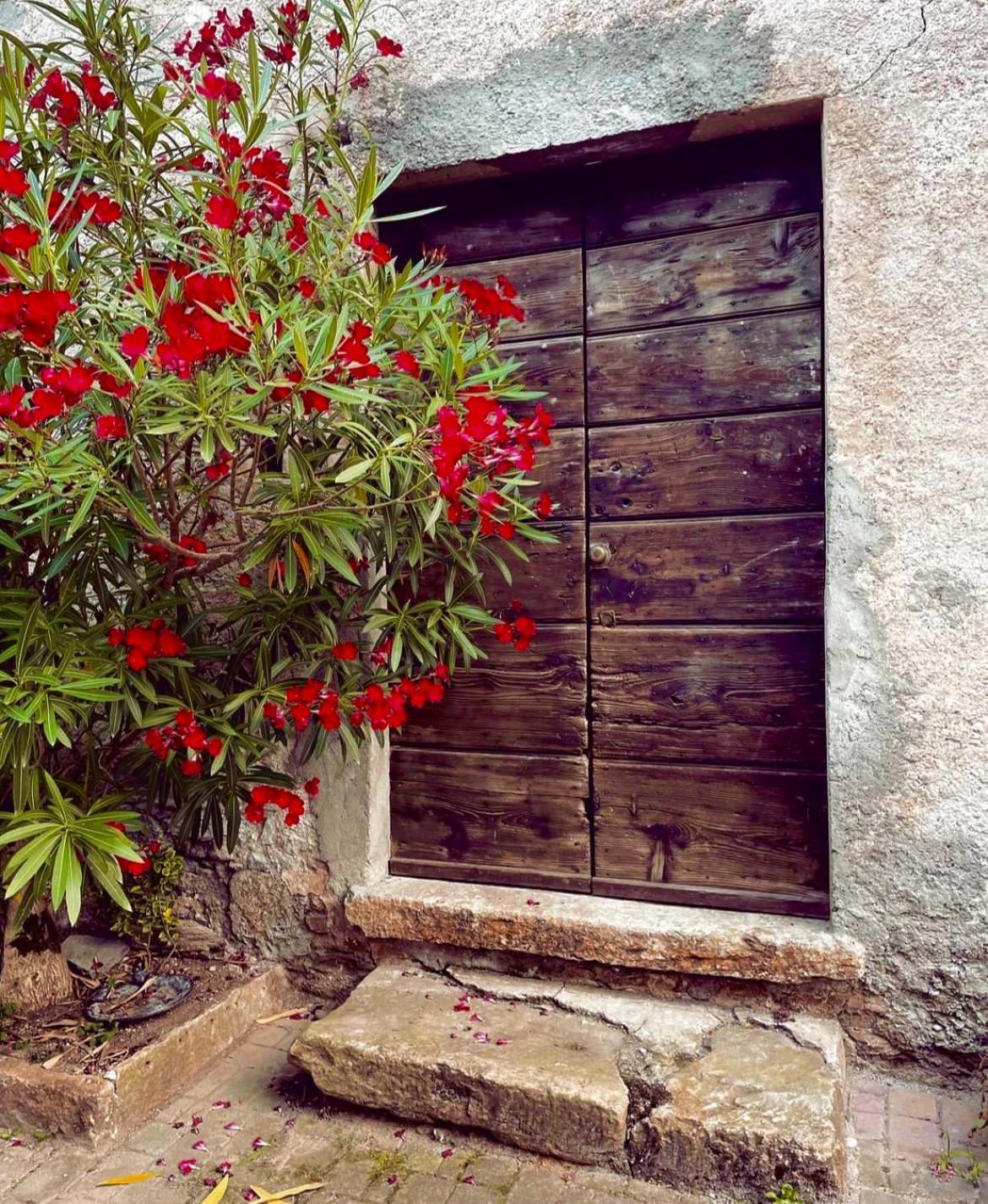 Agriturismo La Vecchia Chioderia Grandola ed Uniti Exteriör bild