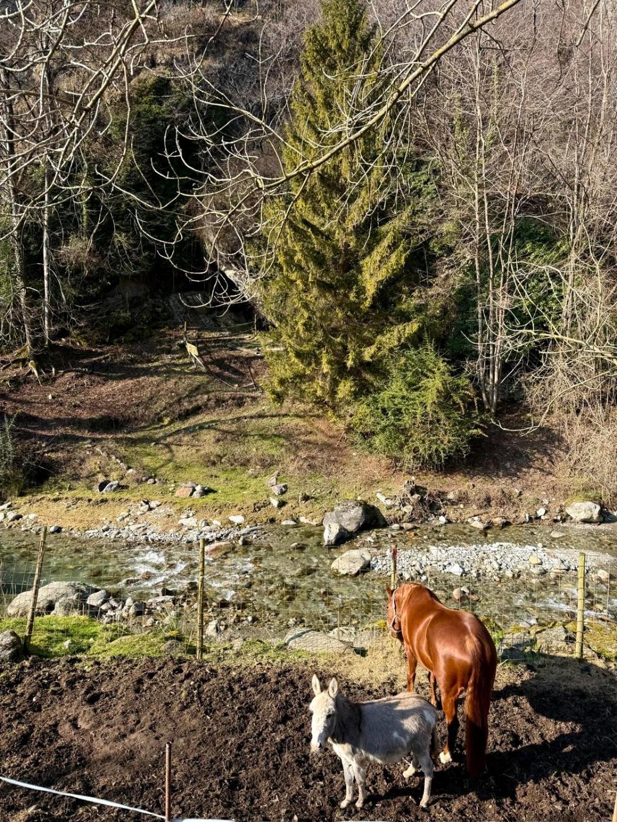 Agriturismo La Vecchia Chioderia Grandola ed Uniti Exteriör bild