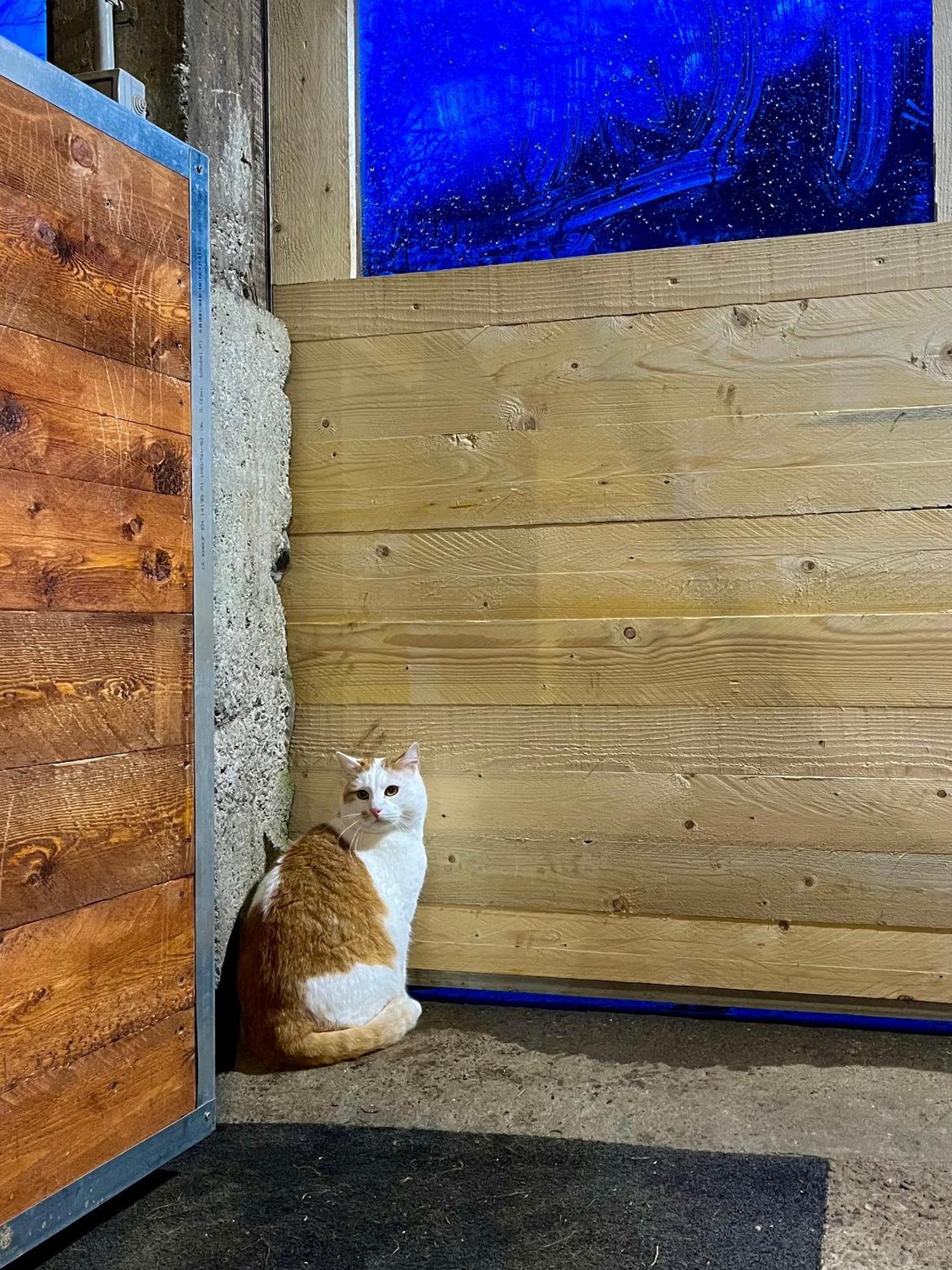 Agriturismo La Vecchia Chioderia Grandola ed Uniti Exteriör bild
