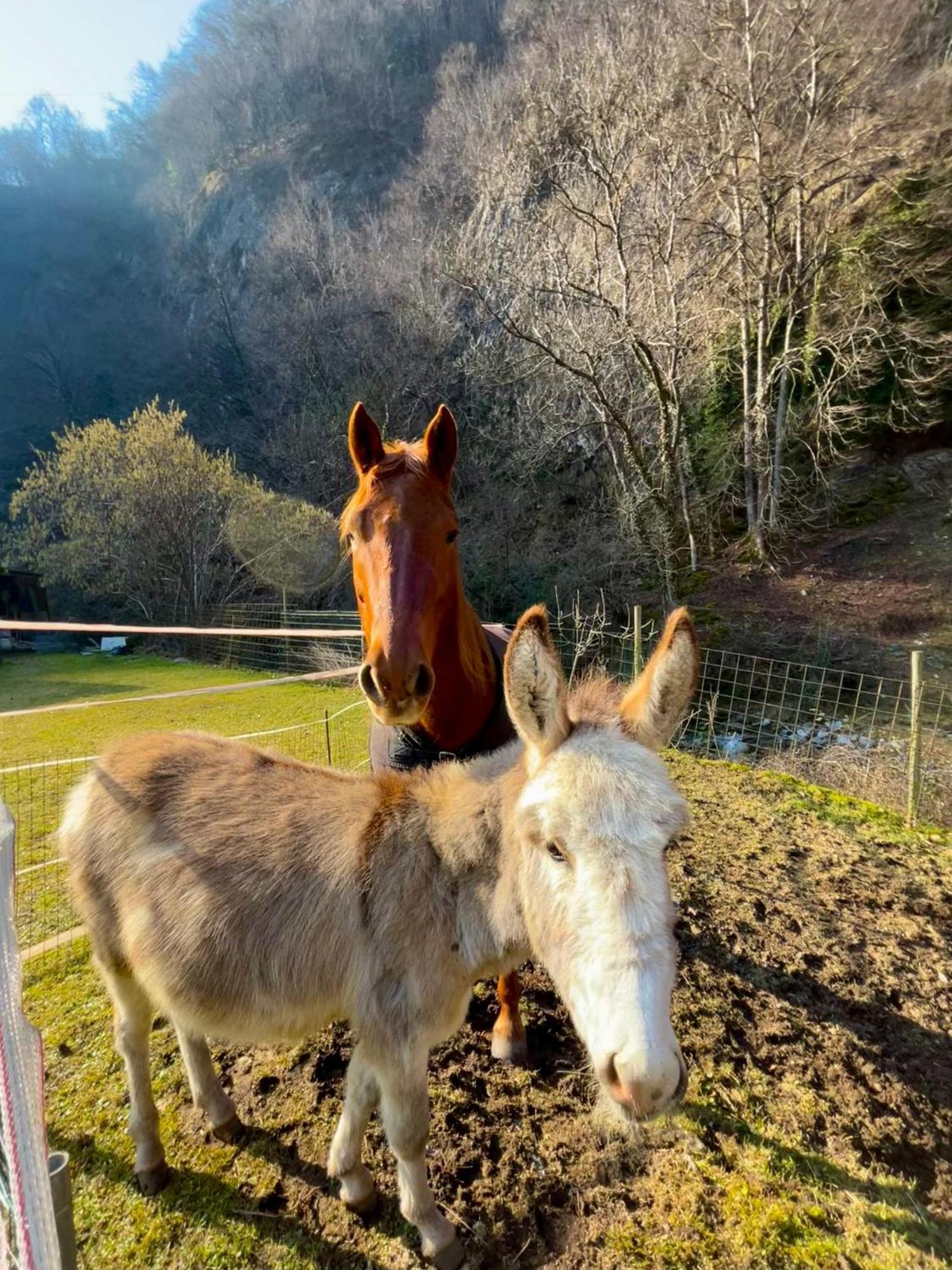 Agriturismo La Vecchia Chioderia Grandola ed Uniti Exteriör bild