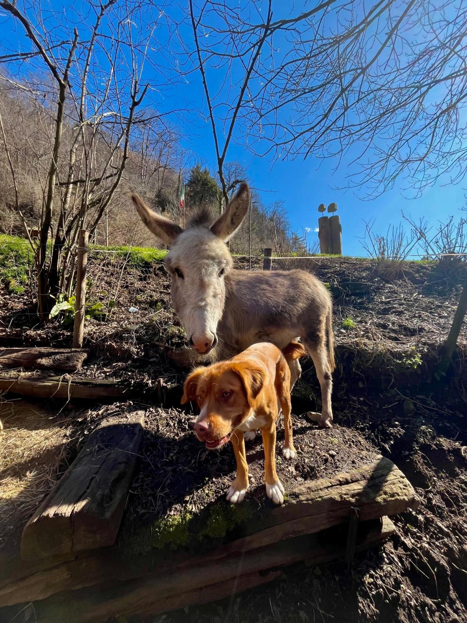 Agriturismo La Vecchia Chioderia Grandola ed Uniti Exteriör bild