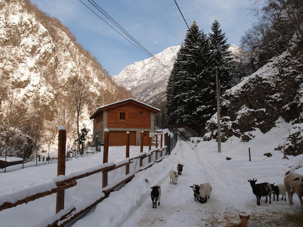 Agriturismo La Vecchia Chioderia Grandola ed Uniti Exteriör bild