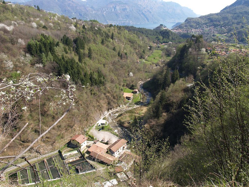 Agriturismo La Vecchia Chioderia Grandola ed Uniti Exteriör bild